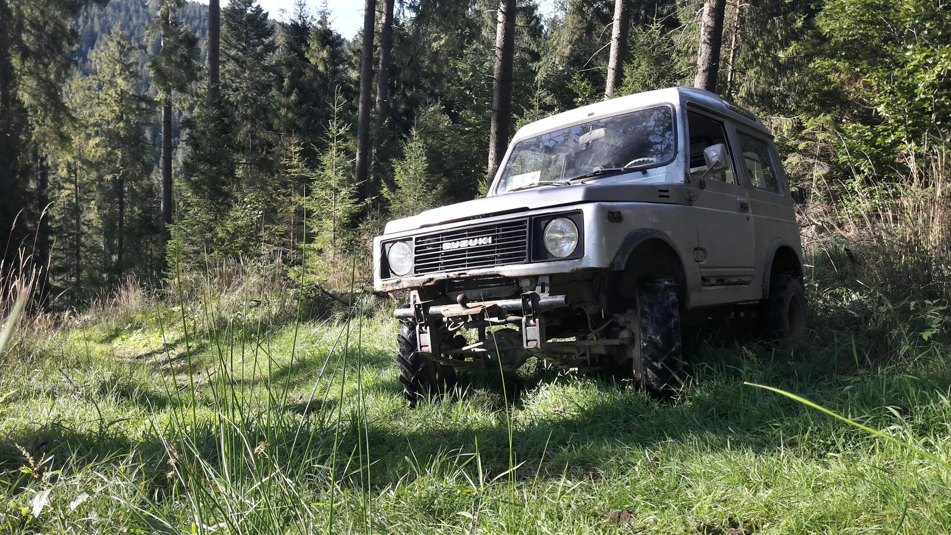 Subaru XV 4x4 zaparkowane w zielonym lesie na tle drzew